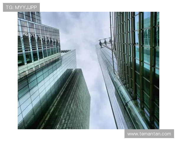 尊龙网址集团客户服务体系的全面升级与优化