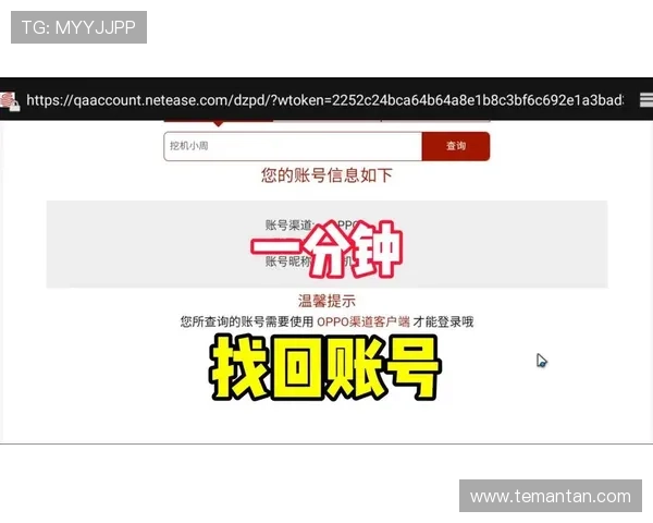 凯时登录账号忘记密码怎么办，详细步骤指导助你快速找回账号安全保障